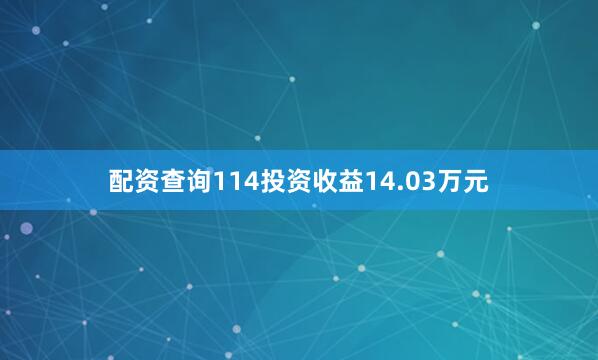 配资查询114投资收益14.03万元